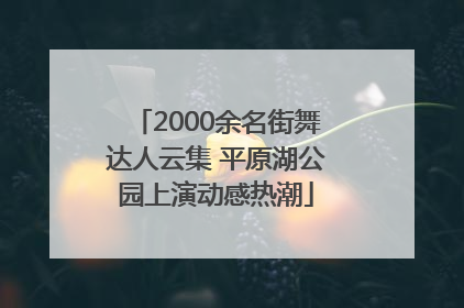 2000余名街舞达人云集 平原湖公园上演动感热潮