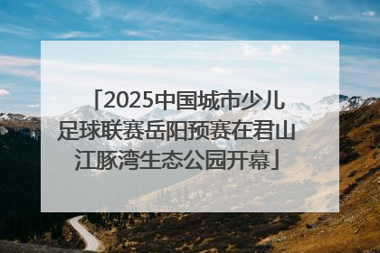 2025中国城市少儿足球联赛岳阳预赛在君山江豚湾生态公园开幕