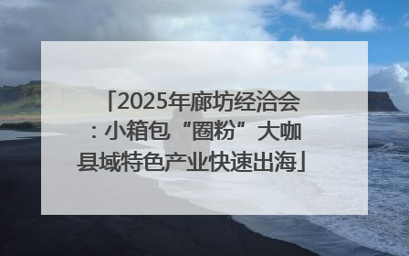 2025年廊坊经洽会：小箱包“圈粉”大咖 县域特色产业快速出海
