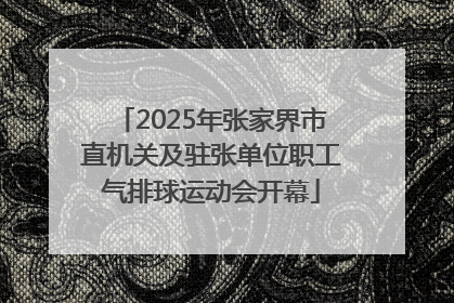 2025年张家界市直机关及驻张单位职工气排球运动会开幕