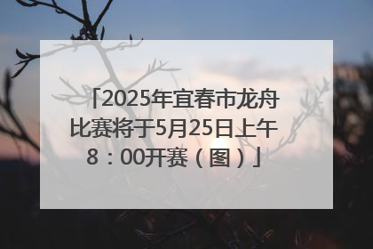 2025年宜春市龙舟比赛将于5月25日上午8：00开赛（图）