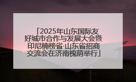 2025年山东国际友好城市合作与发展大会暨印尼楠榜省·山东省招商交流会在济南槐荫举行