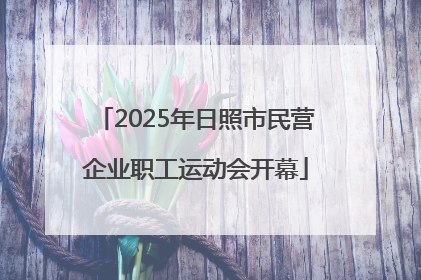 2025年日照市民营企业职工运动会开幕