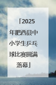 2025年肥西县中小学生乒乓球比赛圆满落幕