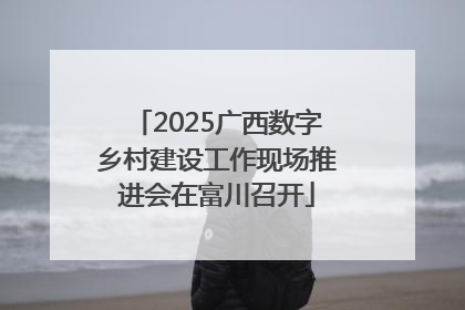 2025广西数字乡村建设工作现场推进会在富川召开