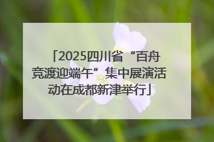 2025四川省“百舟竞渡迎端午”集中展演活动在成都新津举行