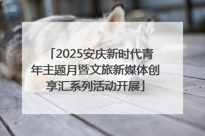 2025安庆新时代青年主题月暨文旅新媒体创享汇系列活动开展