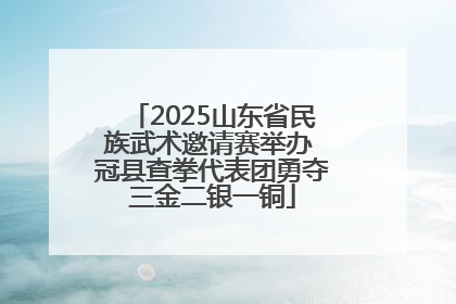 2025山东省民族武术邀请赛举办 冠县查拳代表团勇夺三金二银一铜