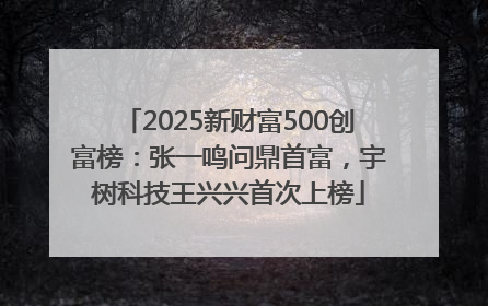 2025新财富500创富榜：张一鸣问鼎首富，宇树科技王兴兴首次上榜