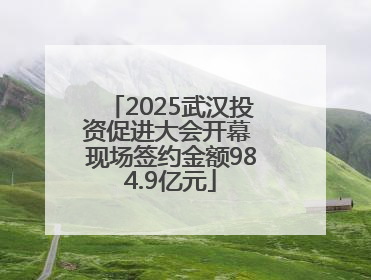 2025武汉投资促进大会开幕 现场签约金额984.9亿元
