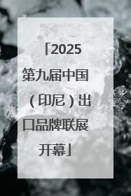 2025第九届中国（印尼）出口品牌联展开幕