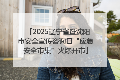 2025辽宁省暨沈阳市安全宣传咨询日“应急安全市集”火爆开市