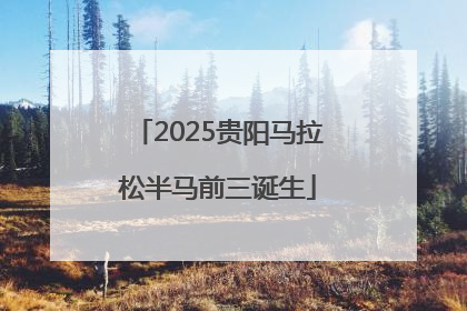 2025贵阳马拉松半马前三诞生