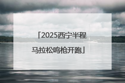 2025西宁半程马拉松鸣枪开跑