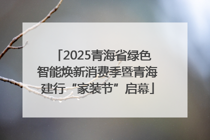 2025青海省绿色智能焕新消费季暨青海建行“家装节”启幕