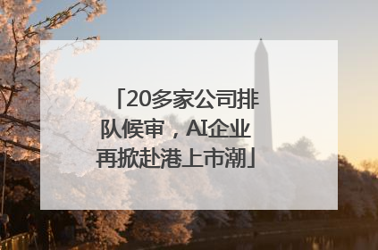 20多家公司排队候审，AI企业再掀赴港上市潮
