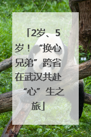 2岁、5岁！“换心兄弟”跨省在武汉共赴“心”生之旅