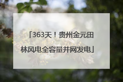 363天！贵州金元田林风电全容量并网发电