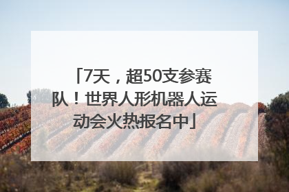 7天，超50支参赛队！世界人形机器人运动会火热报名中