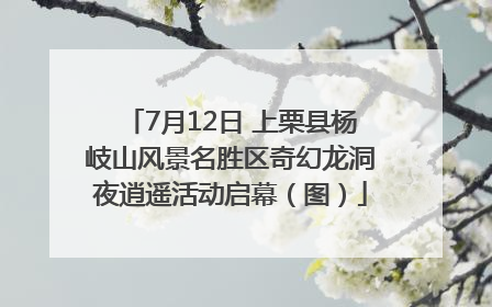 7月12日 上栗县杨岐山风景名胜区奇幻龙洞夜逍遥活动启幕（图）