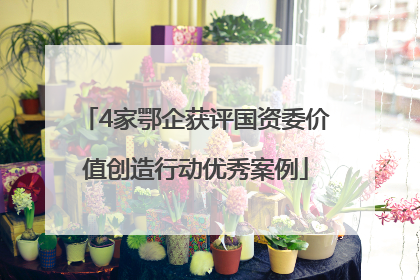 4家鄂企获评国资委价值创造行动优秀案例
