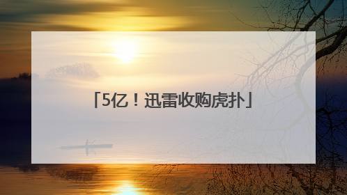 5亿！迅雷收购虎扑