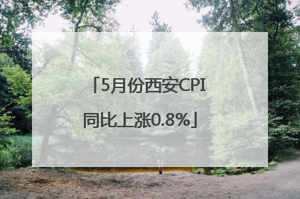 5月份西安CPI同比上涨0.8%