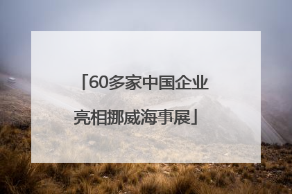 60多家中国企业亮相挪威海事展