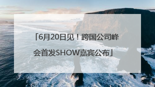 6月20日见！跨国公司峰会首发SHOW嘉宾公布