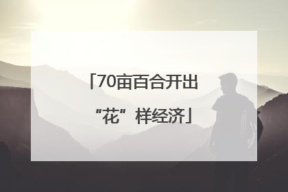 70亩百合开出“花”样经济