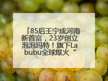 85后王宁成河南新首富，23岁创立泡泡玛特！旗下Labubu全球爆火“一娃难求”