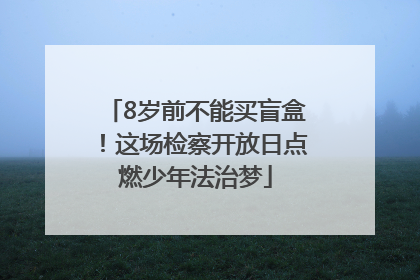 8岁前不能买盲盒！这场检察开放日点燃少年法治梦