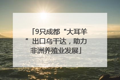 9只成都“大耳羊”出口乌干达，助力非洲养殖业发展