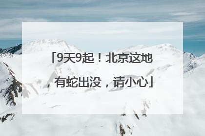 9天9起！北京这地，有蛇出没，请小心