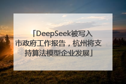 DeepSeek被写入市政府工作报告，杭州将支持算法模型企业发展