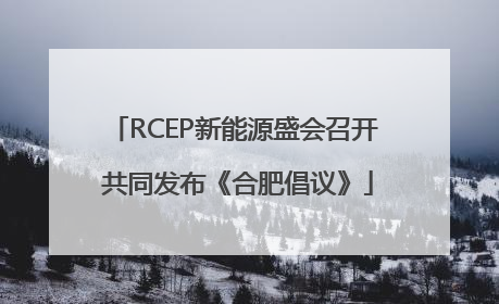RCEP新能源盛会召开 共同发布《合肥倡议》