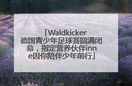 Waldkicker德国青少年足球赛圆满闭幕，指定营养伙伴inne因你陪伴少年前行